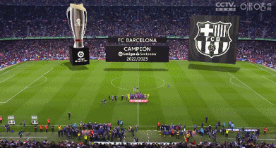 谌贻琴出席国家足球青训中心揭牌仪式